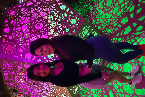 Christmas Lights Tour