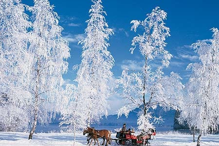 From Salzburg Romantic Carriage Ride through the Countryside
