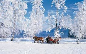 From Salzburg: Romantic Sleigh Ride through the Countryside