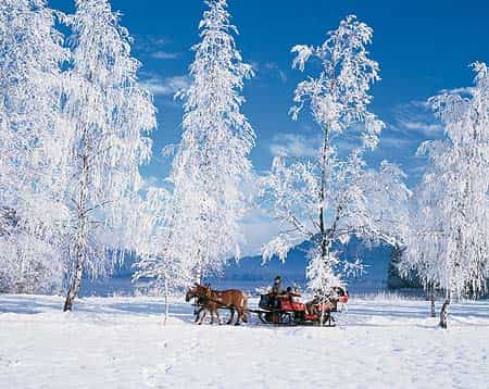 romantic sleigh ride through the salzburg countryside