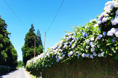 Avventura privata in jeep 4x4 a São Miguel - Tour personalizzato