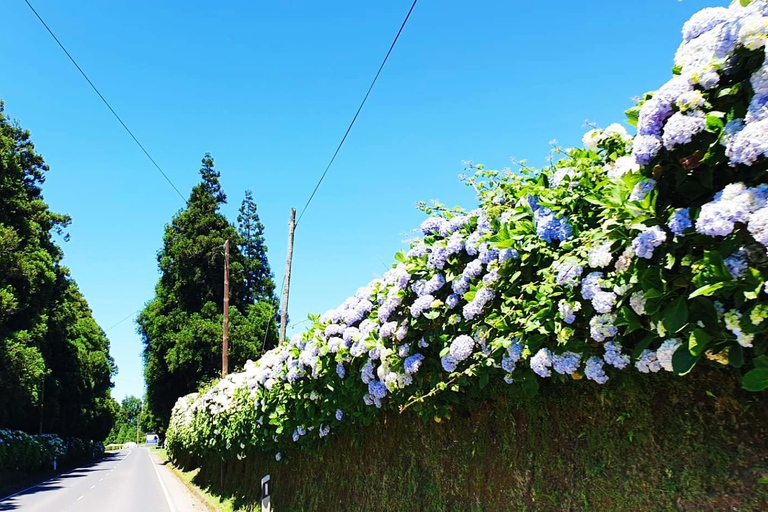 Avventura privata in jeep 4x4 a São Miguel - Tour personalizzato