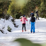 Melbourne: Private Lake Mountain Snow & Redwood Forest Tours