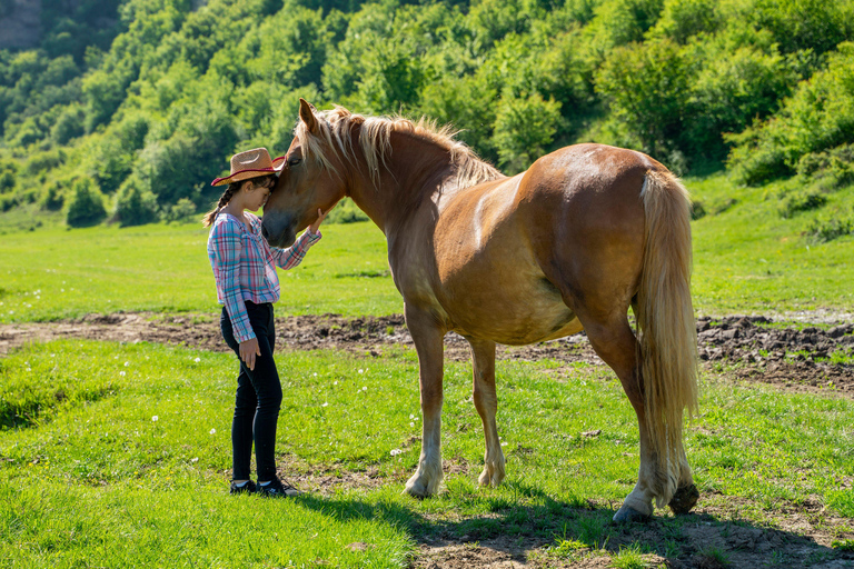 Belfast: Guided Horseback Trek Across Scenic Countryside