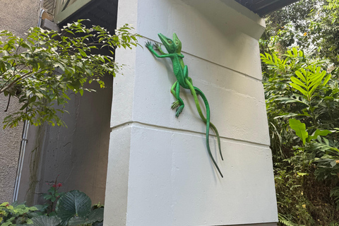 El Yunque Rainforest: EZ-Going Bus Tour (Accessible)