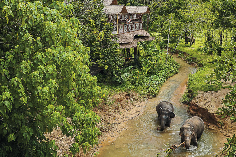 Santuario de elefantes de Phuket: Medio día con comida vegetarianaPunto de encuentro