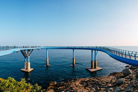 Busan & Gyeongju Highlights 2 Days Combo Tour from Busan