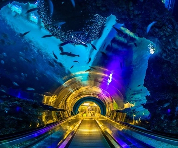 Kenting: National Museum of Marine Biology & Aquarium