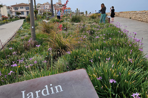 Från Cannes till Monaco: Avkopplande dagsutflykt till Franska Rivieran