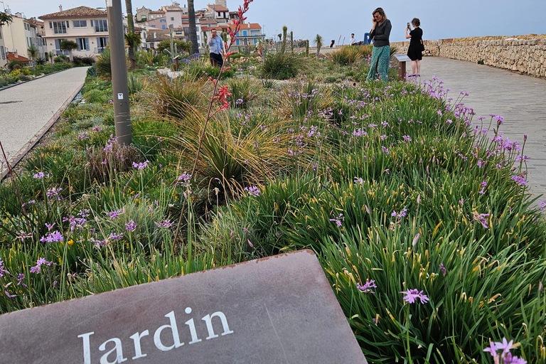 Från Cannes till Monaco: Avkopplande dagsutflykt till Franska Rivieran