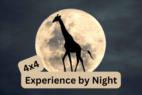 Park Wodospadów Wiktorii: nocne doświadczenie 4x4 w Vic FallsWodospady Wiktorii: Doświadczenie 4x4 nocą