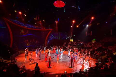 Shanghai Maxicheng Theatre Acrobatic Show Tickets
