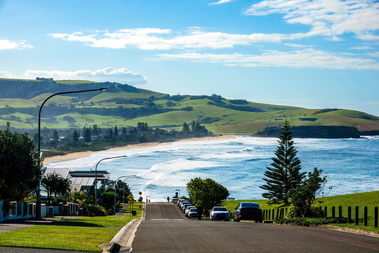 Sydney Secret Coastline: Kiama Blowhole, Wollongong Wildlife Shared Tour, Meet at Furama Darling Harbour