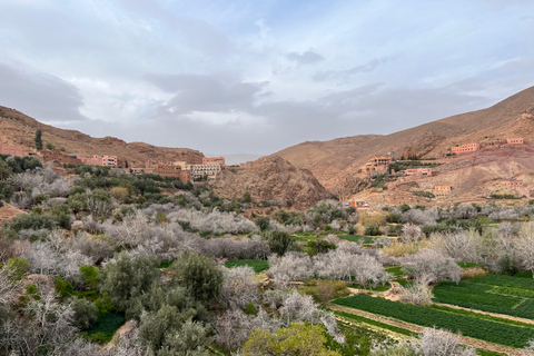 2 Days Trip From Marrakech To Ouarzazate & Dades Valley 2 Days Shared Tour : Marrakech To Ouarzazate & Dades Valley