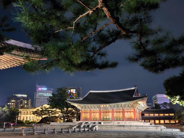 Seoul : Deoksugung Palace Guided Tour