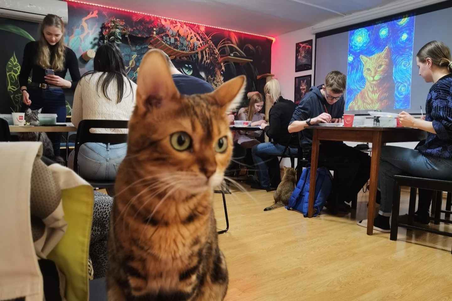 Budapest: Acrylic Painting Workshop in Cat Museum Budapest