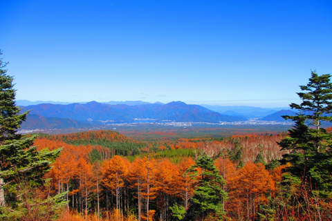 Tokyo: Mount Fuji, Gotemba Outlet, and Hakone Day Trip