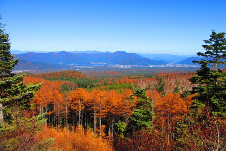 Tokyo: Mount Fuji, Gotemba Outlet, and Hakone Day Trip