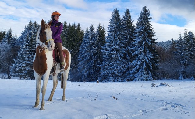 Visit From Borovets Horse Riding Experience in Borovets