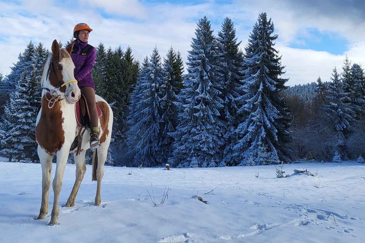 Borovets: Horse Riding Experience