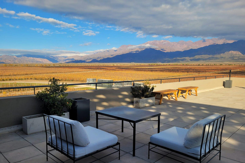 Mendoza in a day, guided tour, olive grove, winery, mountain, San Martin park