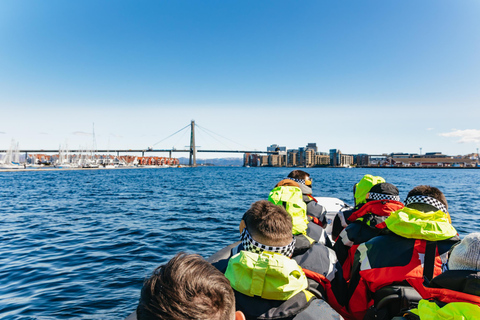 From Stavanger: Lysefjord Sightseeing RIB Boat Tour