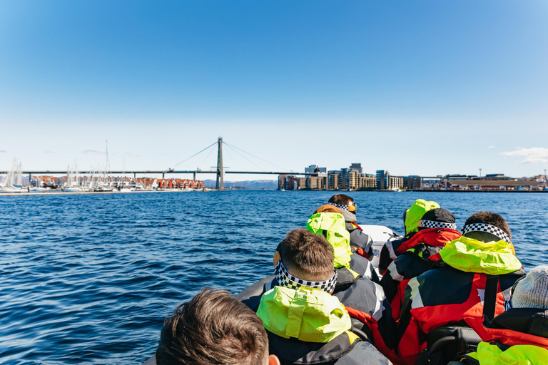 Desde Stavanger: Tour en barco semirrígido por el fiordo de Lysefjord