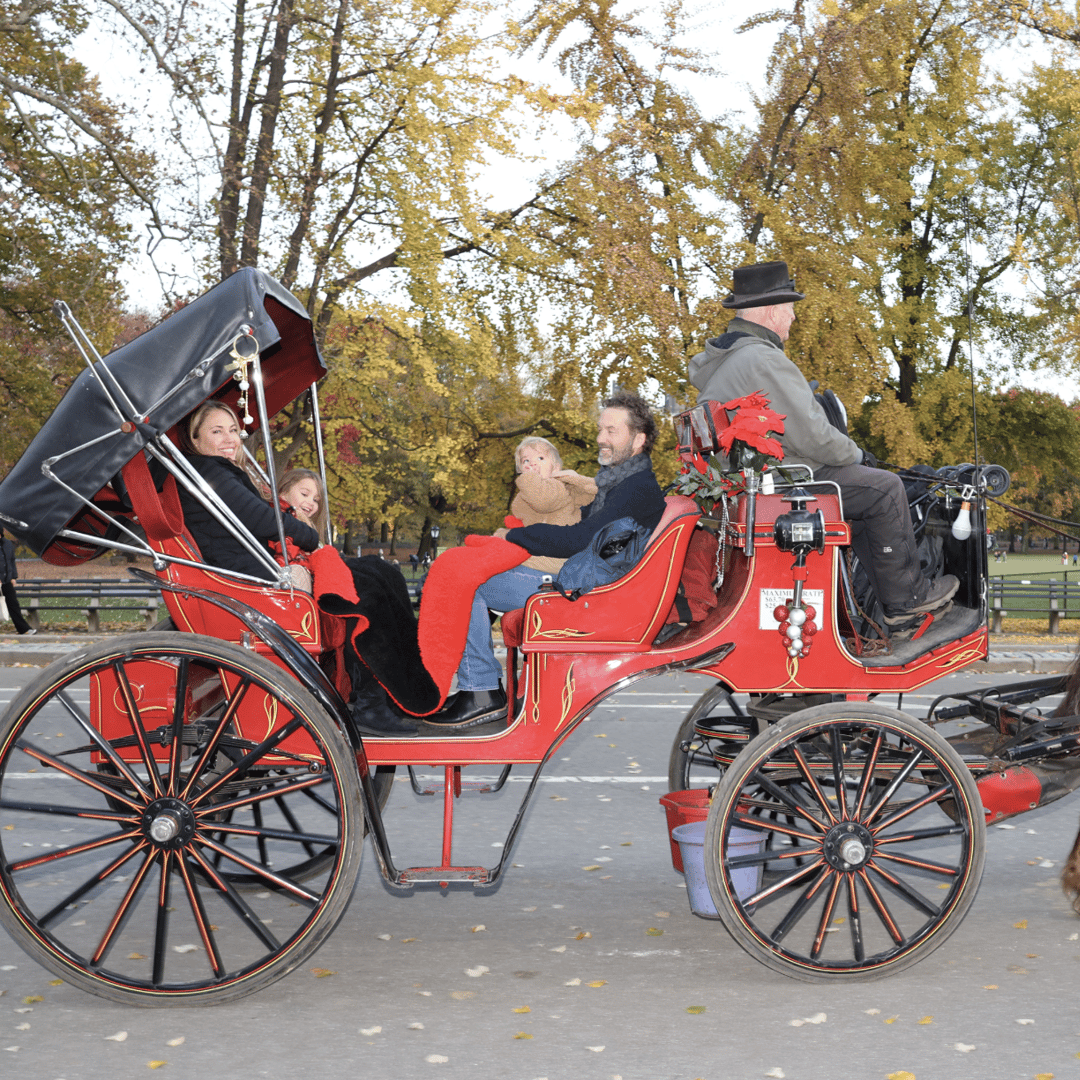 New York City: Central Park Horse Carriage 25-min Ride