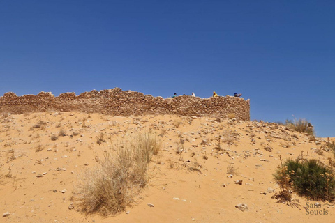 Djerba: Private Excursion to Ksar Ghilane & Tataouine in 1 Day Desert Djerba: Private Day Trip to Ksar Ghilane & Tataouine in the Desert