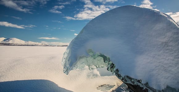 Kiruna: Daytime Snowshoe Hike