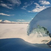 Kiruna : randonnée en raquettes de jour