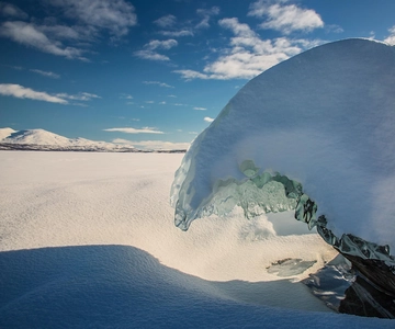 Kiruna: Excursión diurna con raquetas de nieve