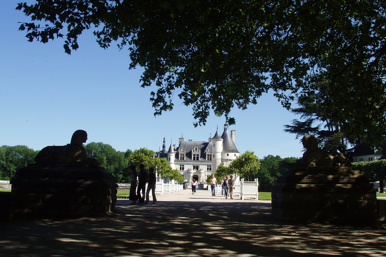 From Paris: Loire Valley Castles Full-Day Tour with Lunch