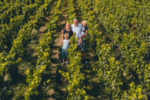 图尔-苏尔-马恩：酒窖参观与香槟品鉴马恩河畔图尔：酒窖参观和香槟品尝