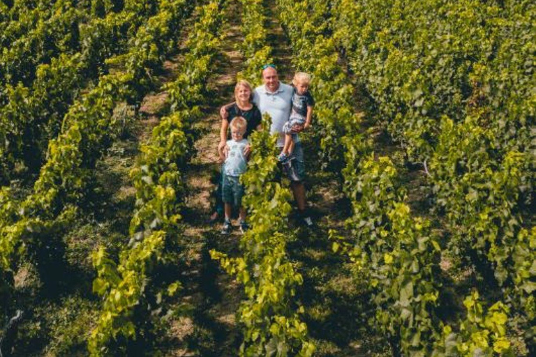 图尔-苏尔-马恩：酒窖参观与香槟品鉴马恩河畔图尔：酒窖参观和香槟品尝