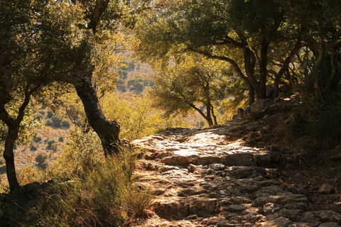 Desde Elounda: excursión de un día a la cueva de Zeus y al este montañoso de CretaLimusina 3 plazas Premium Class o SUV