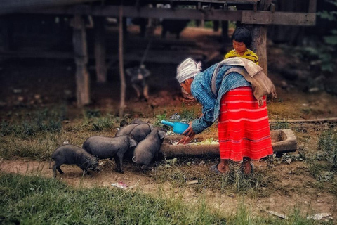  Chiang Mai : Doi Inthanon National Park Highlights