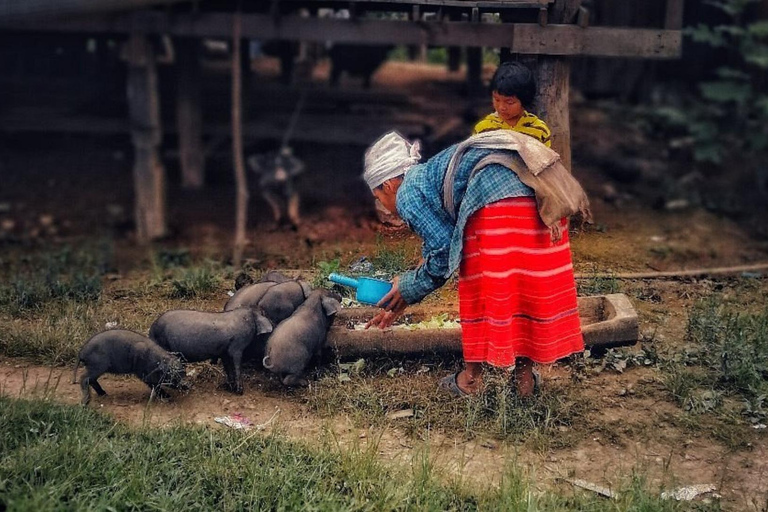 Chiang Mai : Punti salienti del Parco Nazionale Doi Inthanon