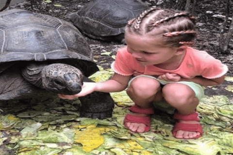 Zanzibar : Visite de conservation du zoo de Nungwi Kilosa