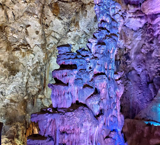 Grotte di Canelobre: Escursioni, tour e gite da Alicante