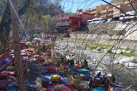 Marrakech : Private To Ourika Valley Atlas Mountains & Lunch Private Day Trip To Ourika Valley, Waterfalls With Lunch