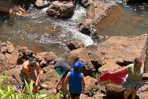 Nairobi: Purple Tea Farm Tour & Tasting Daytrip