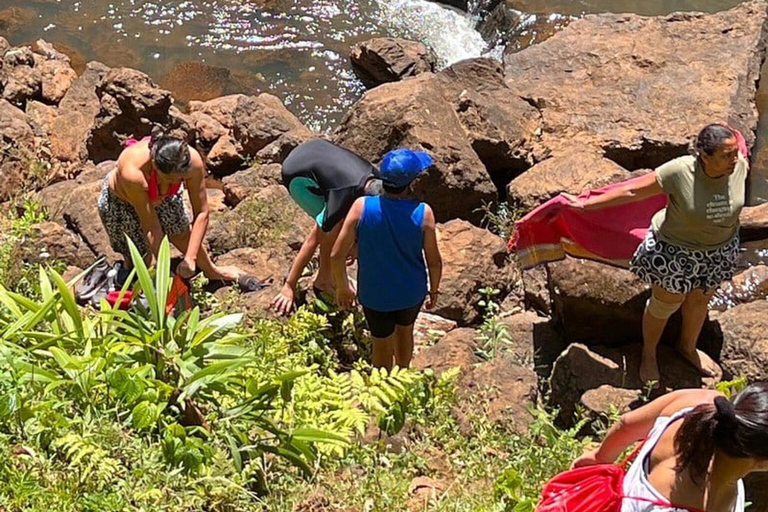 Nairobi: Purple Tea Farm Tour & Tasting Daytrip