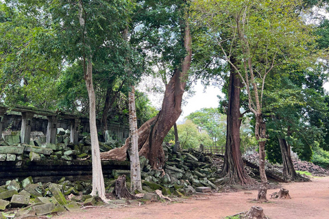 Adventure to the distant temples, Beng Mealea & Rolous Group