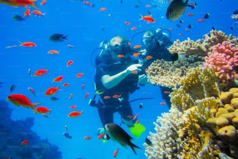 Yanbu: Beach Diving Experience with Instructor