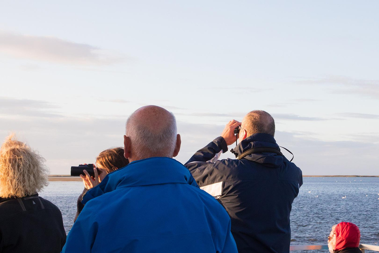 Crane watching by boat from Schaprode (Rügen) with an expert Crane watching by boat from Schaprode with an expert