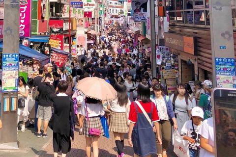 Tokio Stadtführung mit englischsprachigem Fahrer.