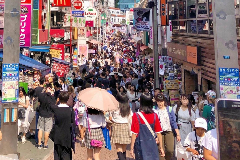 Stadsrondleiding door Tokio met Engelssprekende chauffeur.