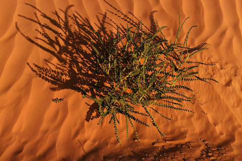 A day trip: Discover Tataouine,Chenini and Ksar Ghilene