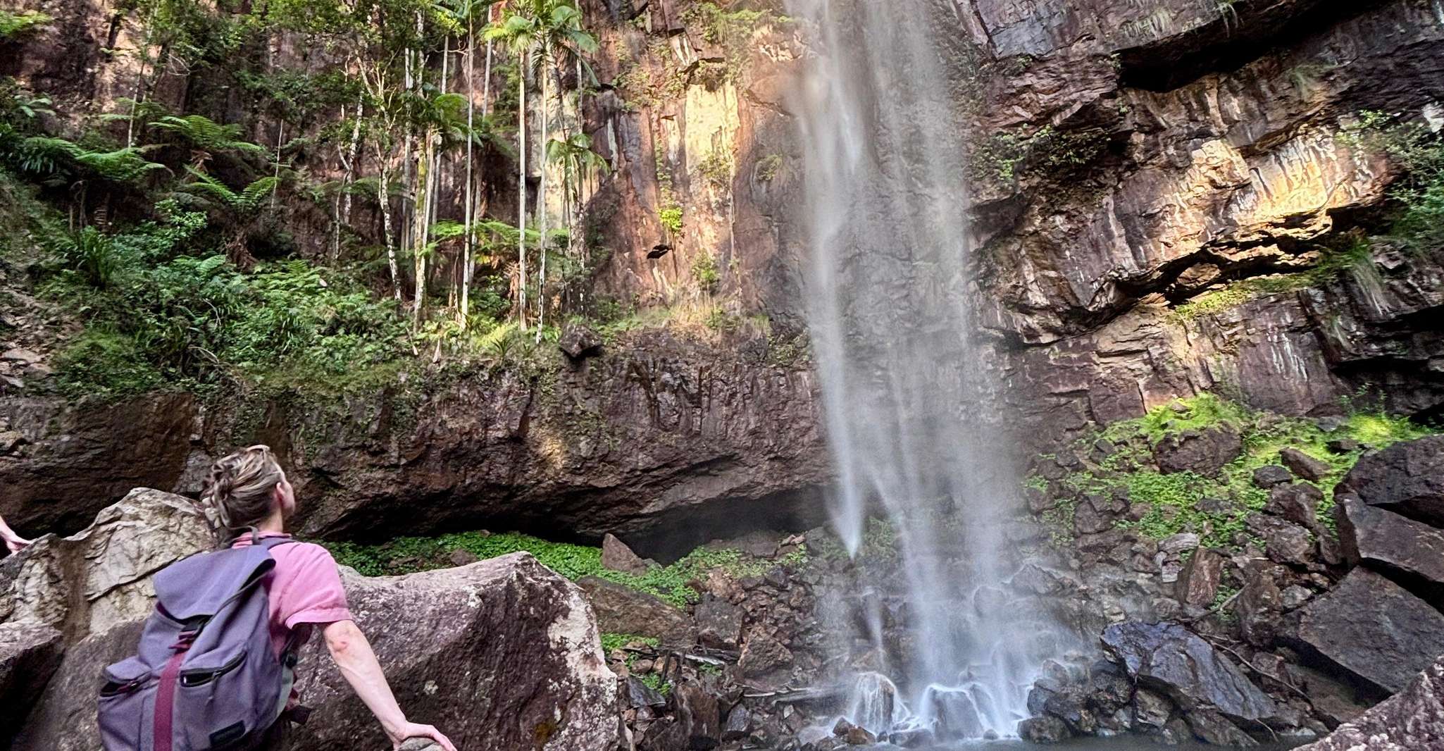 Byron Bay: Glowworms, Waterfalls & Rainforest Experience photo 2